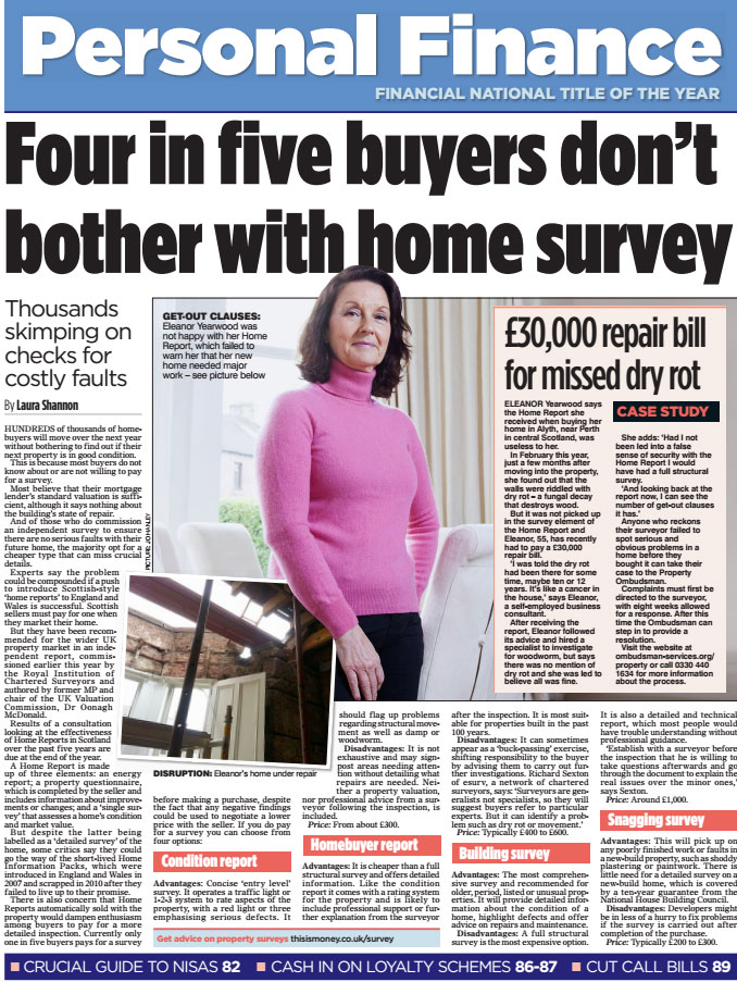 The Mail on Sunday press article on home surveys.